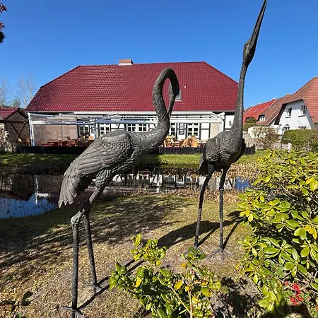 Rosenberg 4 * Zingst